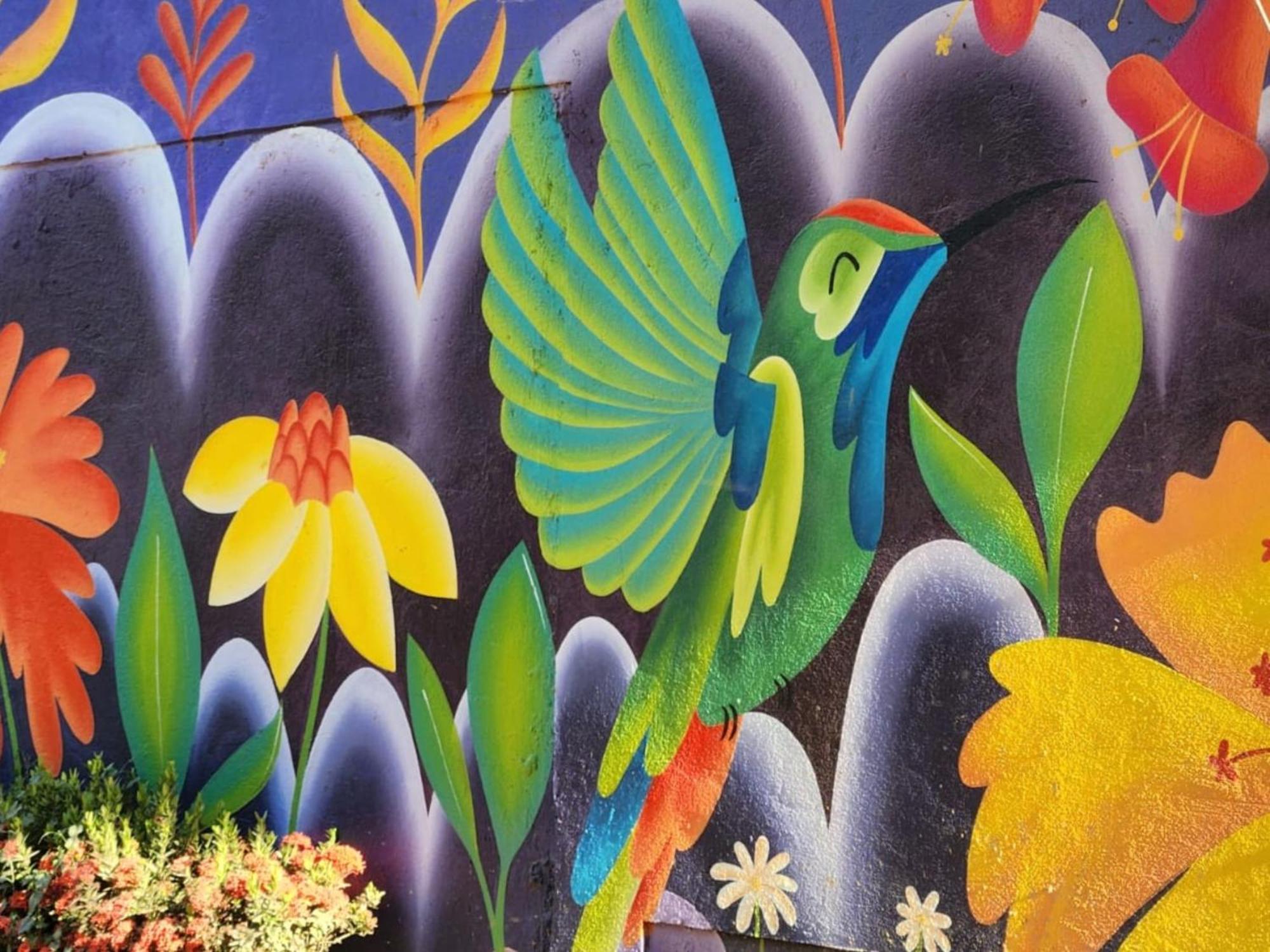 Casa Colibri Palomino Hotel Екстериор снимка