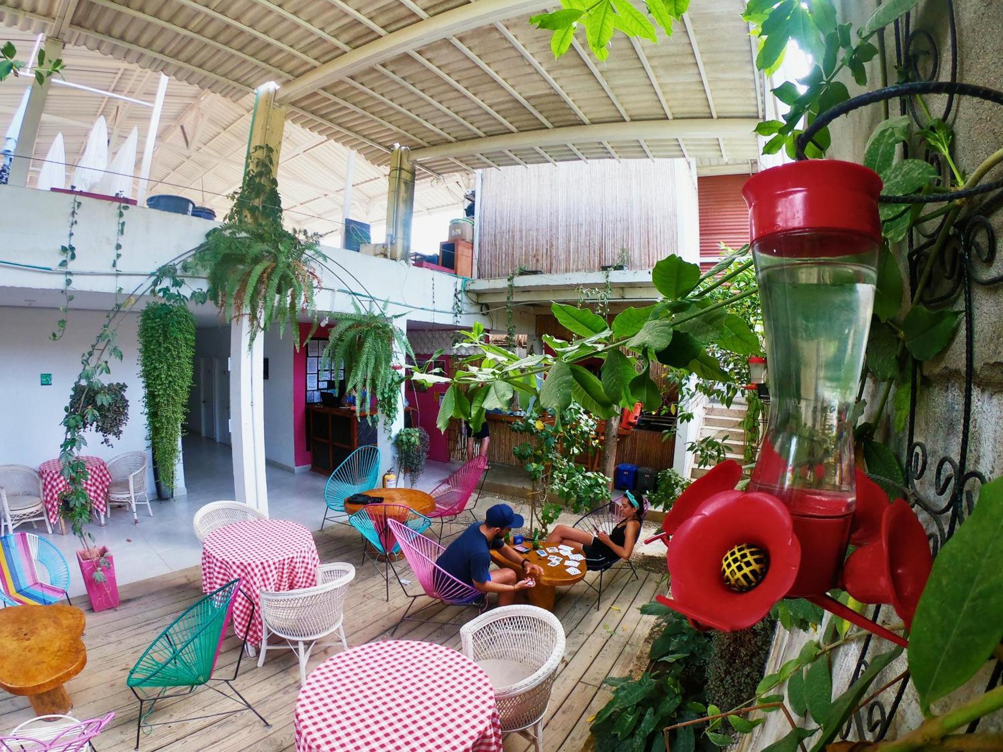 Casa Colibri Palomino Hotel Екстериор снимка